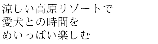 涼しい高原リゾートで愛犬との時間をめいっぱい楽しむ