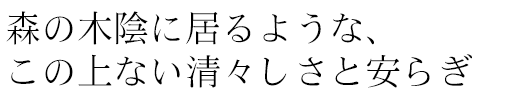 森の木陰に居るような、この上ない清々しさと安らぎ