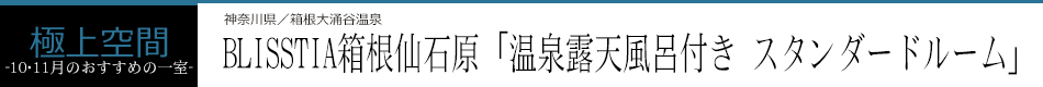 BLISSTIA箱根仙石原「温泉露天風呂付き スタンダードルーム」
