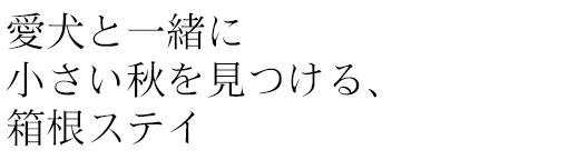 愛犬と一緒に小さい秋を見つける、箱根ステイ
