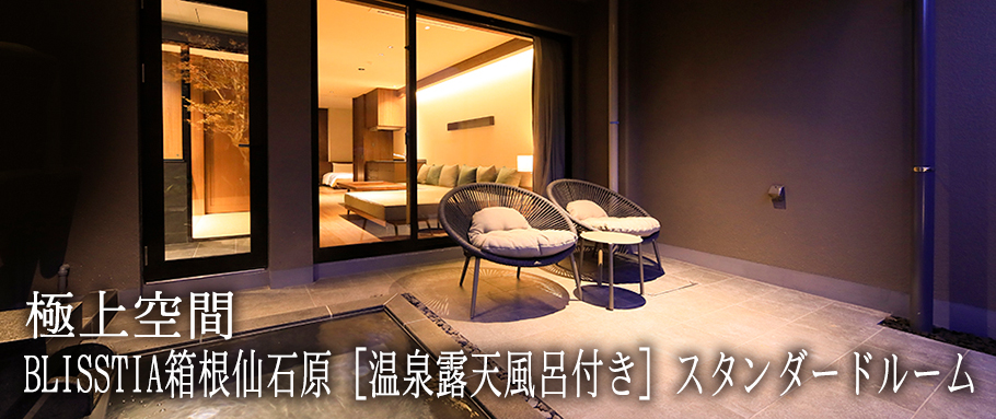 BLISSTIA箱根仙石原［温泉露天風呂付き］スタンダードルーム