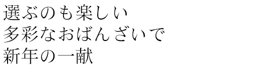 選ぶのも楽しい多彩なおばんざいで新年の一献