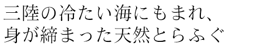 三陸の冷たい海にもまれ、身が締まった天然とらふぐ